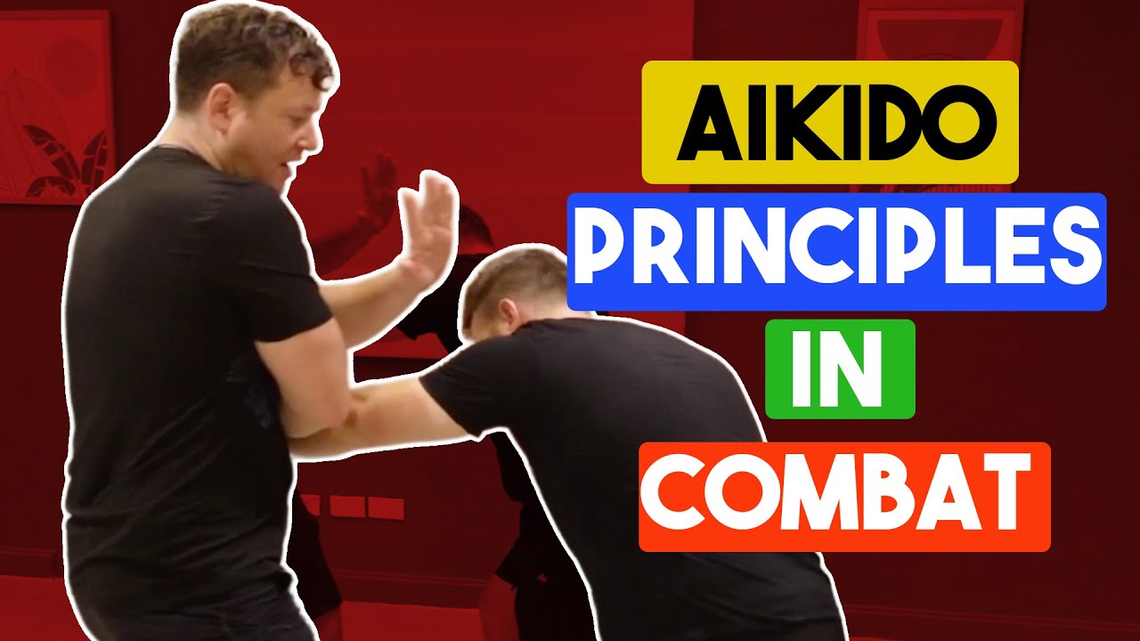 Aikido Principles in Combat