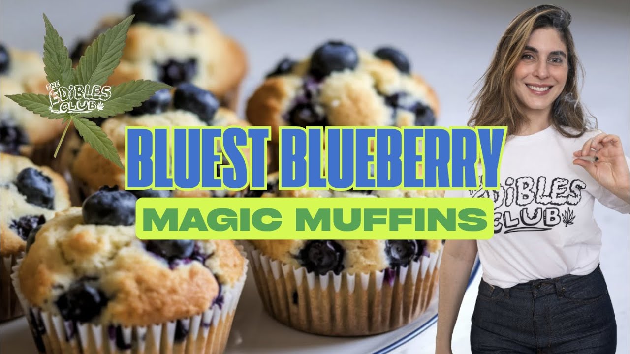 Wednesday Kitchen Sesh: The Bluest Blueberry Muffins (and More)