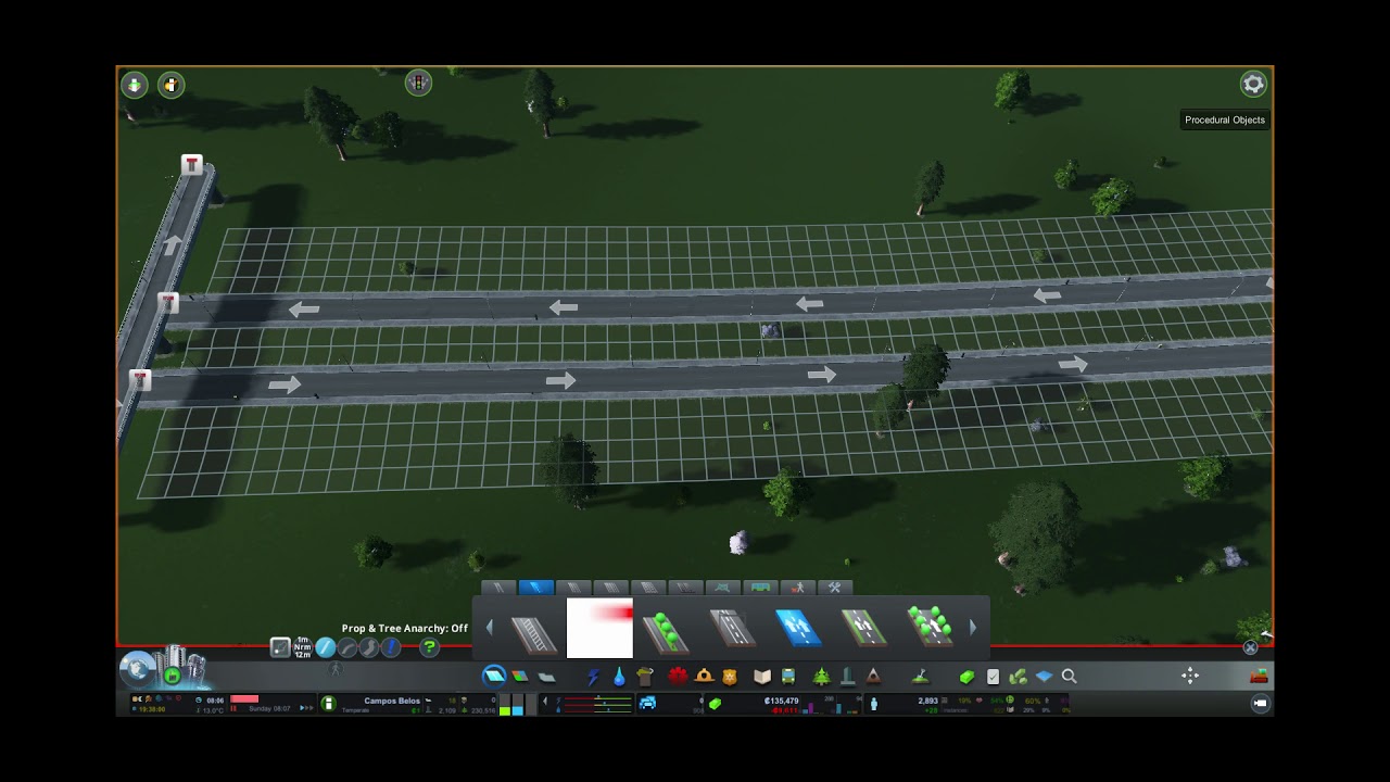 Cities:Skylines Fine Road Anarchy