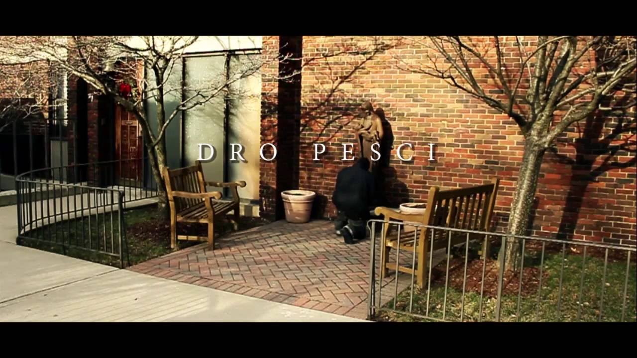 DRO PESCI 
