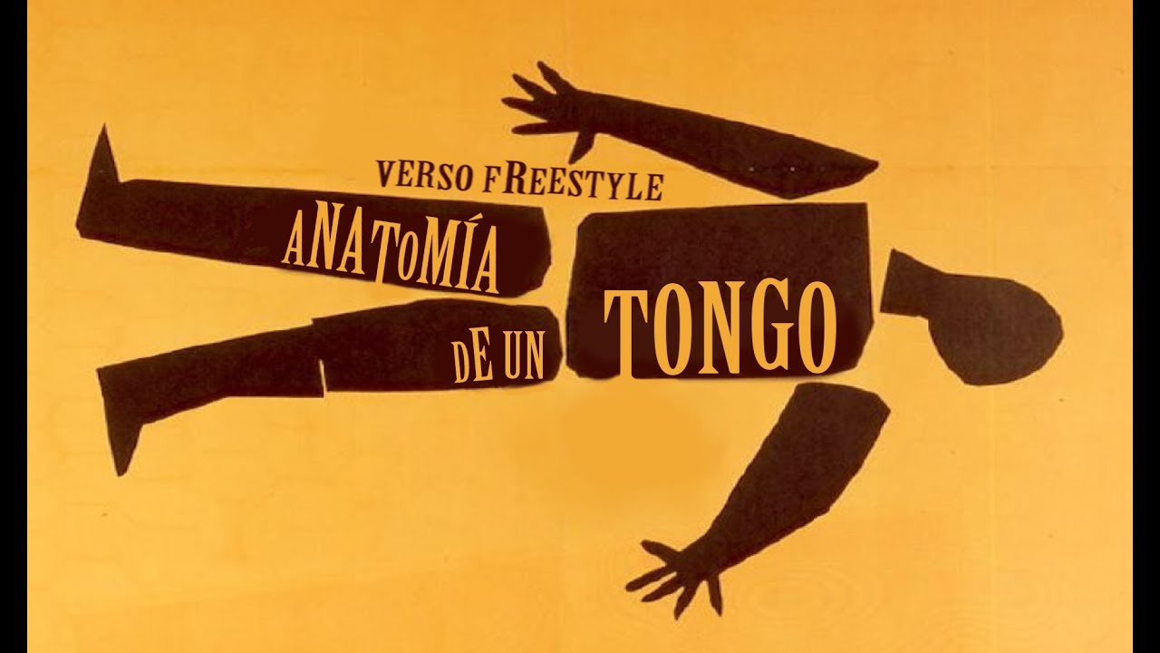 ANATOM&Iacute;A de un TONGO (An&aacute;lisis)