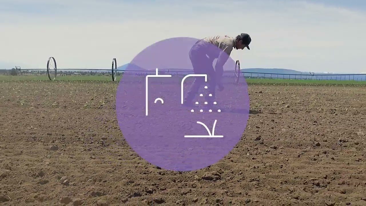 What is Biodynamic Farming?