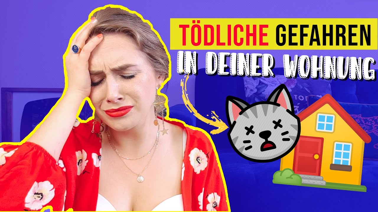 10 TÖDLICHE Dinge für Katzenbabys in deiner Wohnung / eine Katze zieht ein / Amely Rose