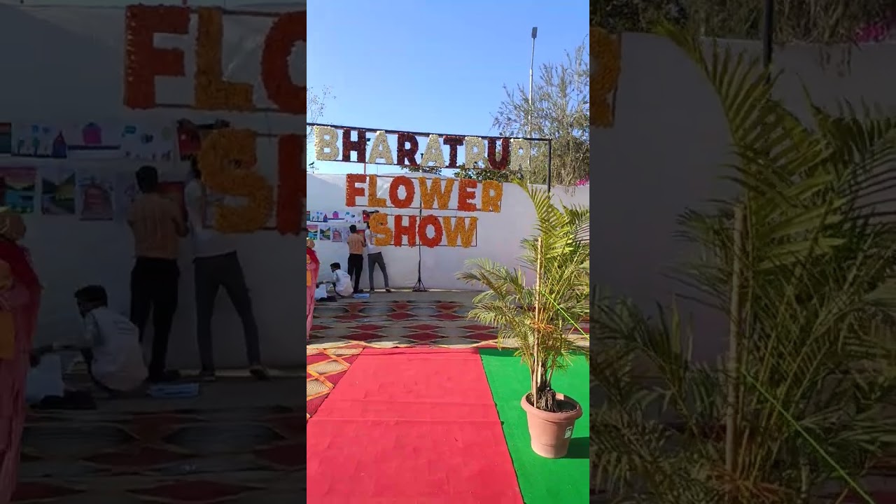 बहुत ही खूबसूरत फ्लावर शो आप सभी देखे👍🙏❤️💚🌹🌿🌹🌿