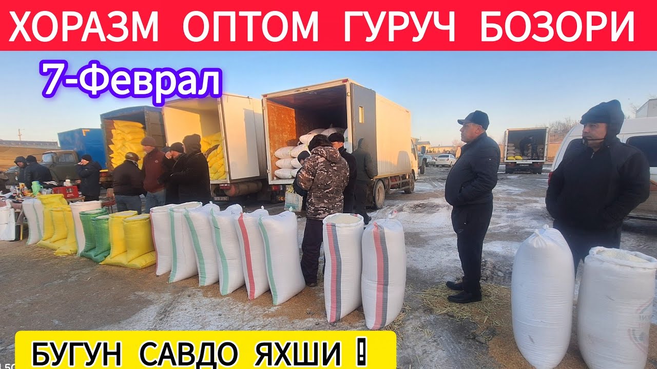 БУГУН НАРХЛАРДА УЗГАРИШ БОР ХОРАЗМ ОПТОМ ГУРУЧ НАРХИ 7-ФЕВРАЛ 2026-ЙИЛ !!! ХОРАЗМ ОБЗОР 