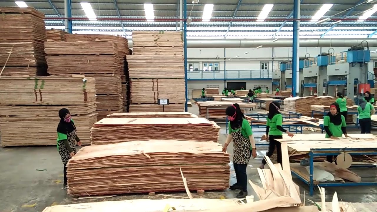 Proses Pembuatan Blockboard di Pabrik Kayu PT Nagabhuana Wonogiri
