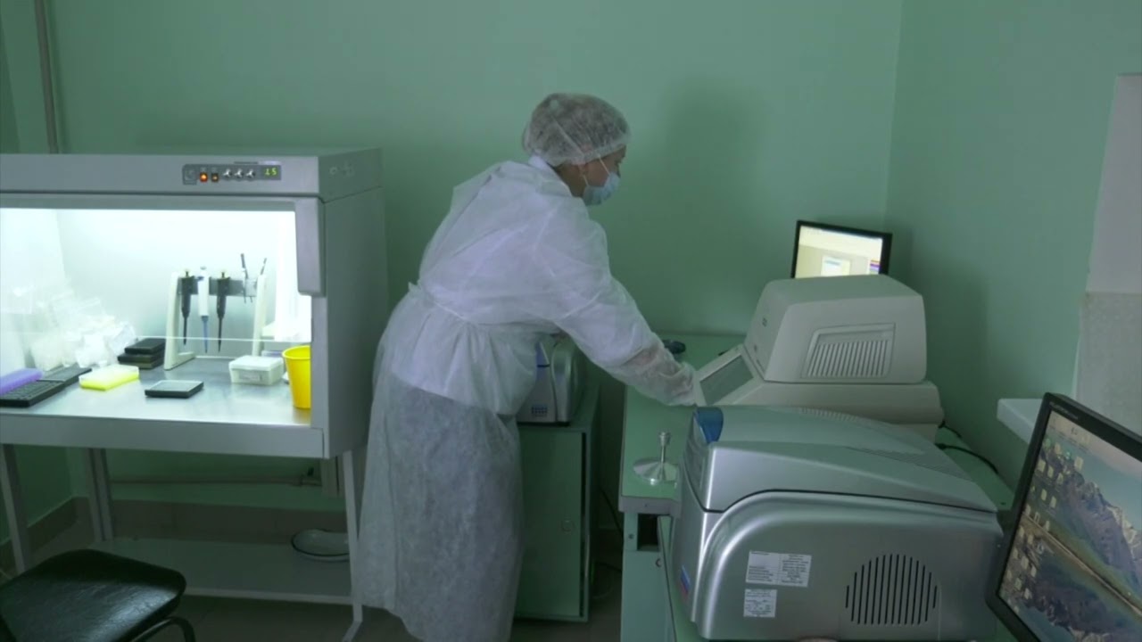 Число случаев бешенства у животных в Воронежской области значительно выросло