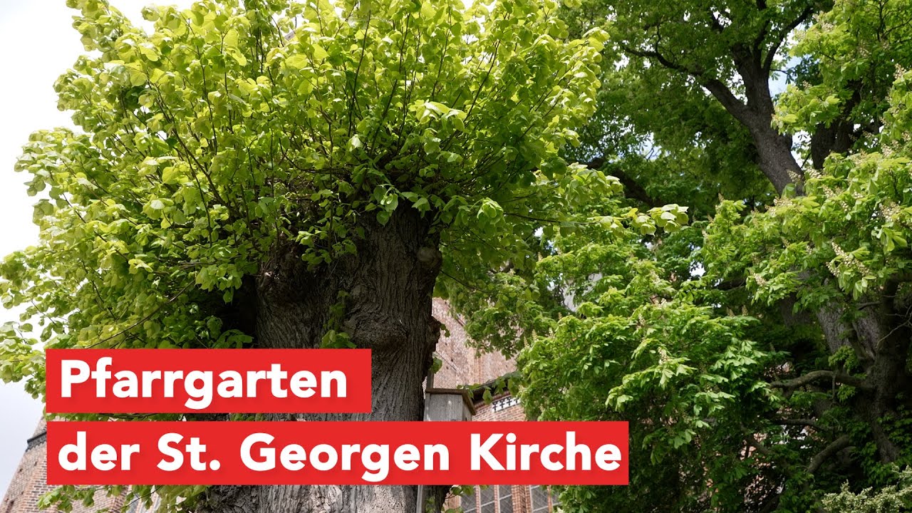 Pfarrgarten an der St. Georgen Kirche erstrahlt in bunten Farben