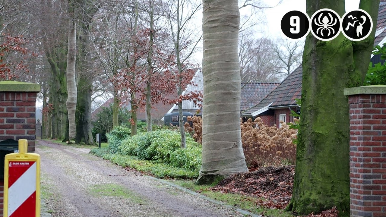 Enschede: Overvallers dreigen ouder echtpaar in brand te steken