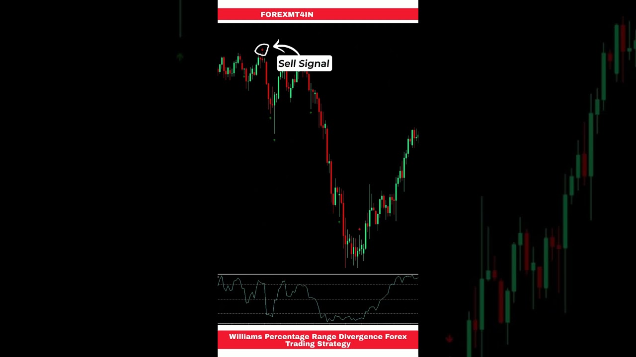 Williams Percentage Range Divergence Forex Trading Strategy
