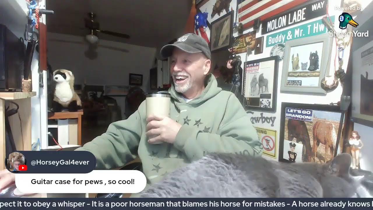 Sunday Morning Horsy Live  - Horsy Questing & Stuff