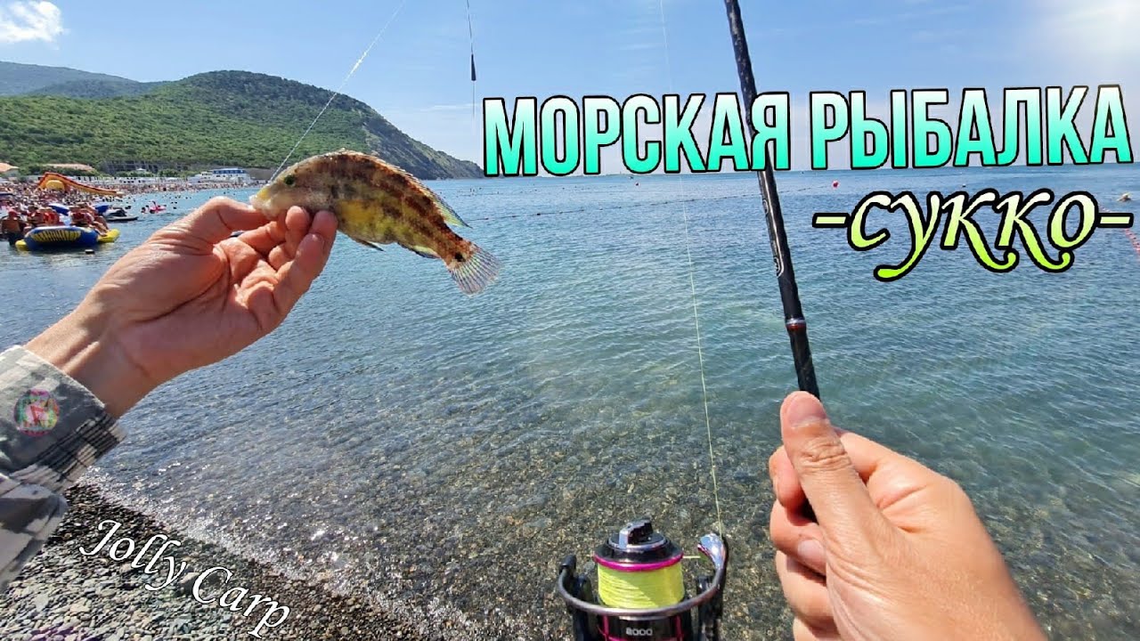 РЫБАЛКА на Черном море в АНАПЕ. Рыбалка с БЕРЕГА. КЛЮЕТ НА КАЖДОМ ЗАБРОСЕ! Село СУККО. Пляж.