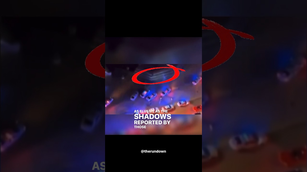 Aliens were spotted at Miami's Bayside Mall -- *NEW VIDEO FOOTAGE AND PHOTOS FROM WITNESSES!