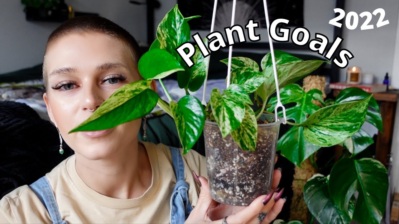 plant goals for 2022 | specific plants + projects for the new year