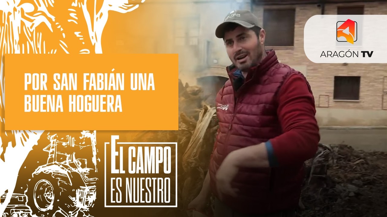 Una buena hoguera por San Fabián