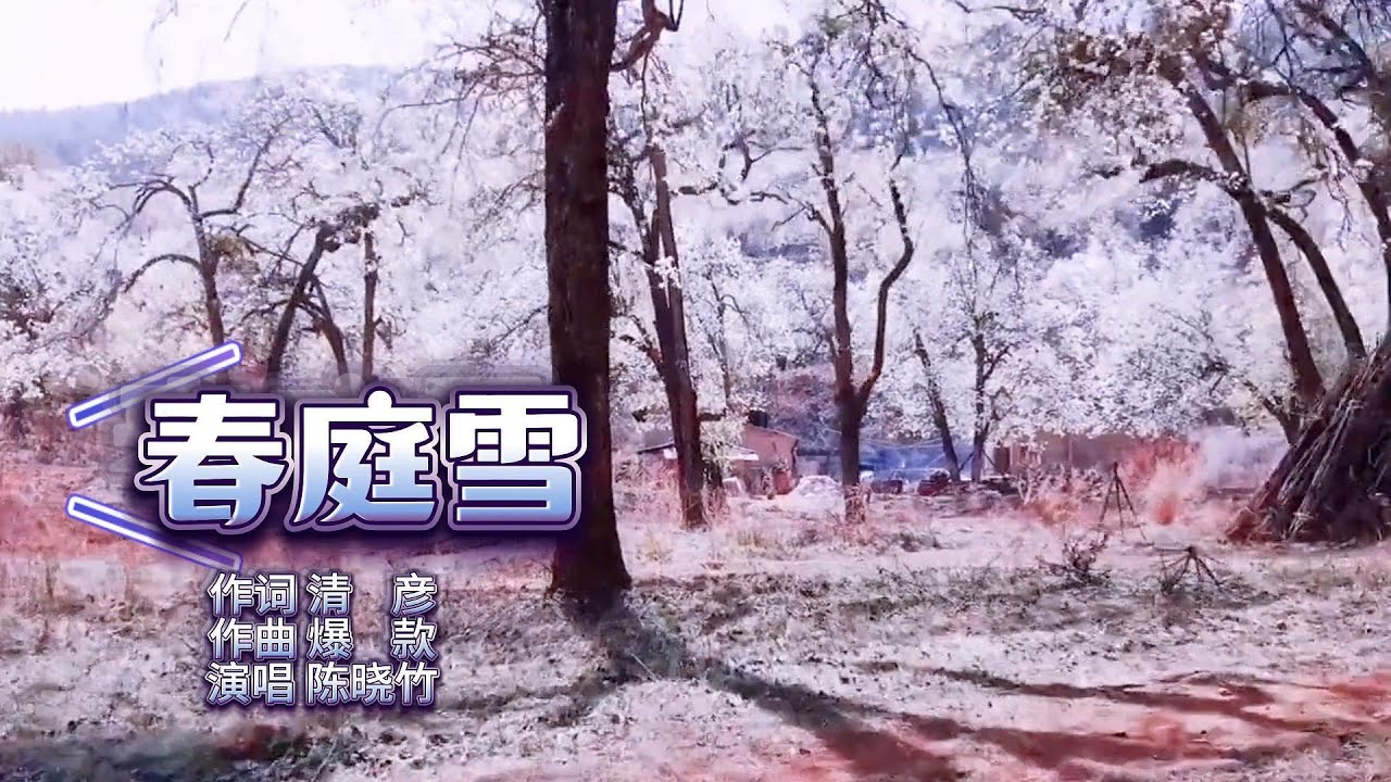 春庭雪 (4K UDH) #cover #song #music #陈晓竹 #国风 #真人真唱