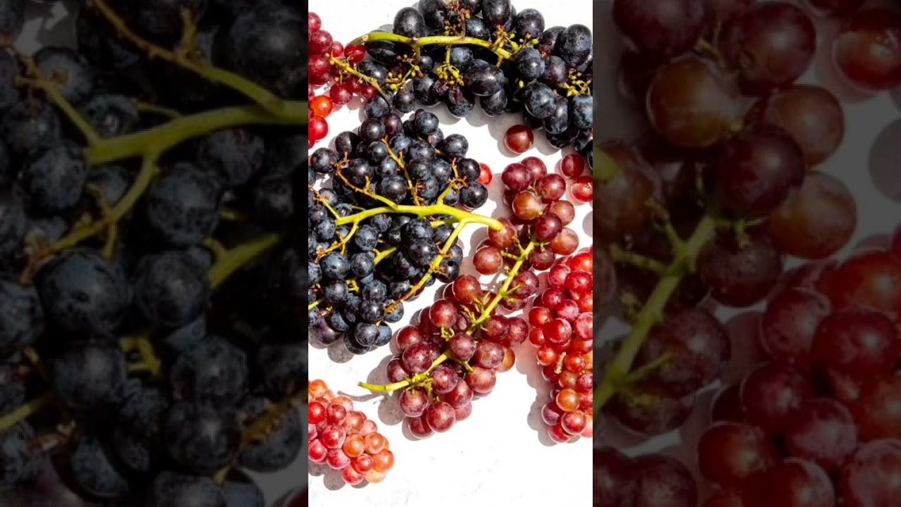10 Types of White Grape Verities Name #fermentation #hospitality #wineeducation