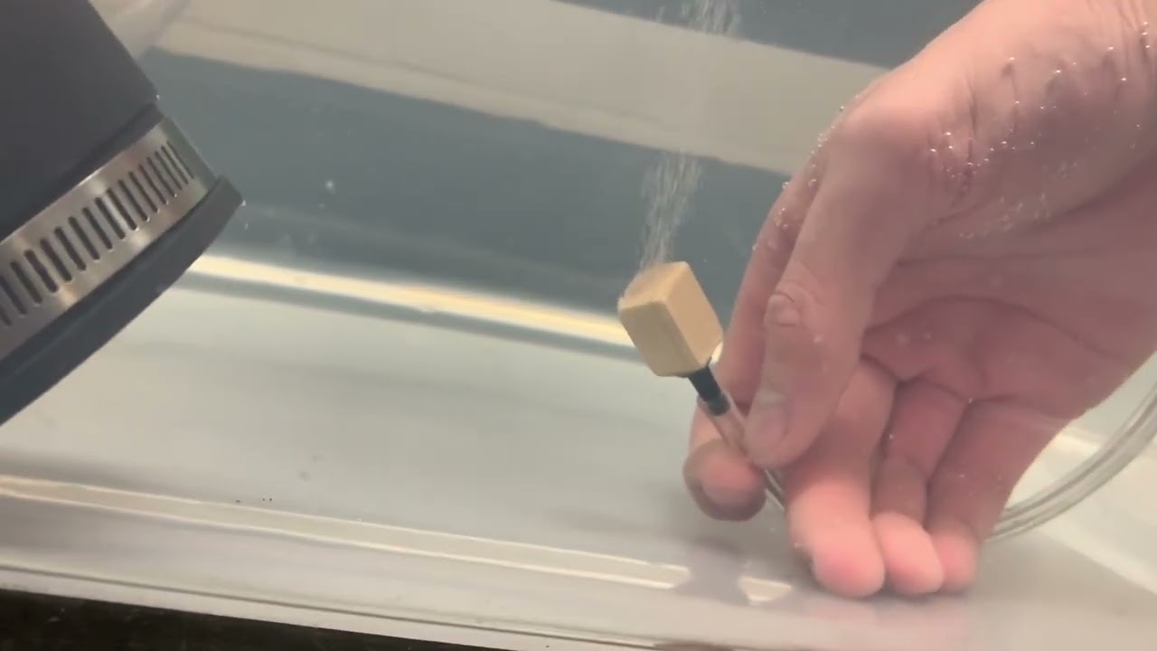 Basswood Micro bubbler