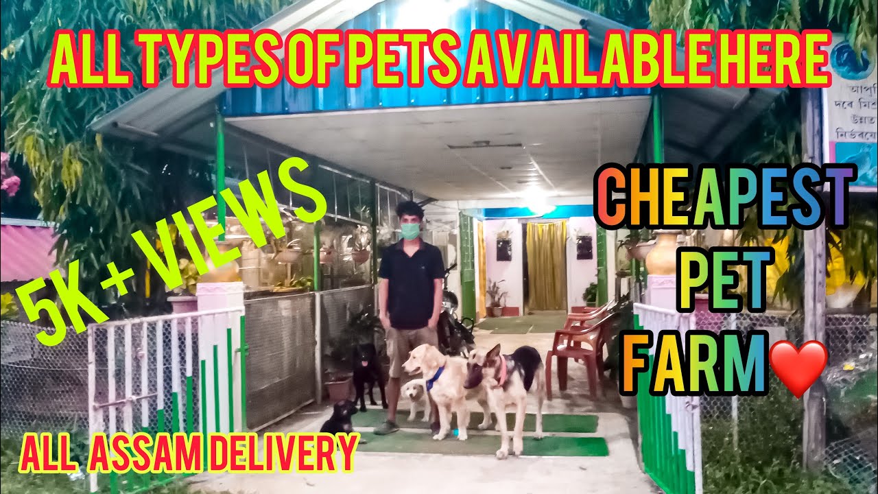 Cheapest PeT Shop in Goalpara || All ASSAM Delivery || Vlog 49