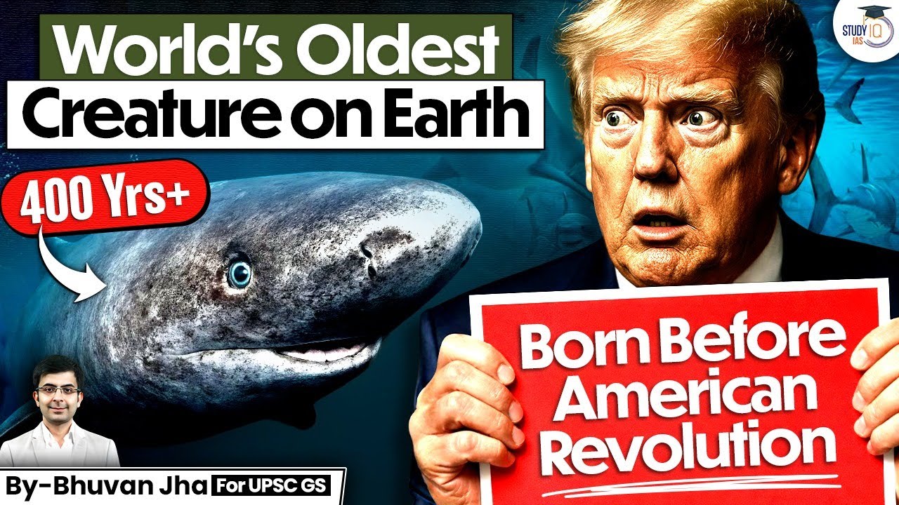 Shocking: This World's Oldest Creature is still Live | Greenland Shark | UPSC | StudyIQ IAS