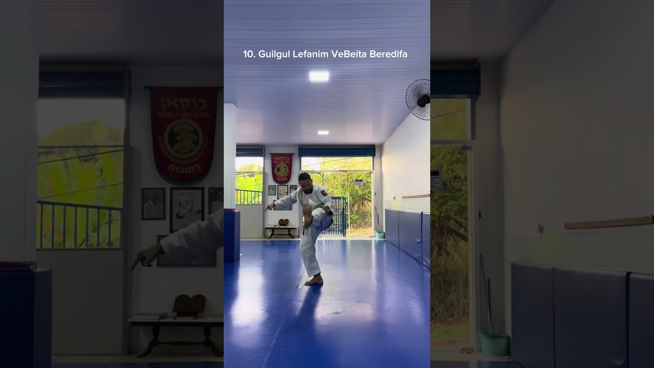 Os 24 Guilgulim do Krav-Maga de Imi Lichtenfeld.