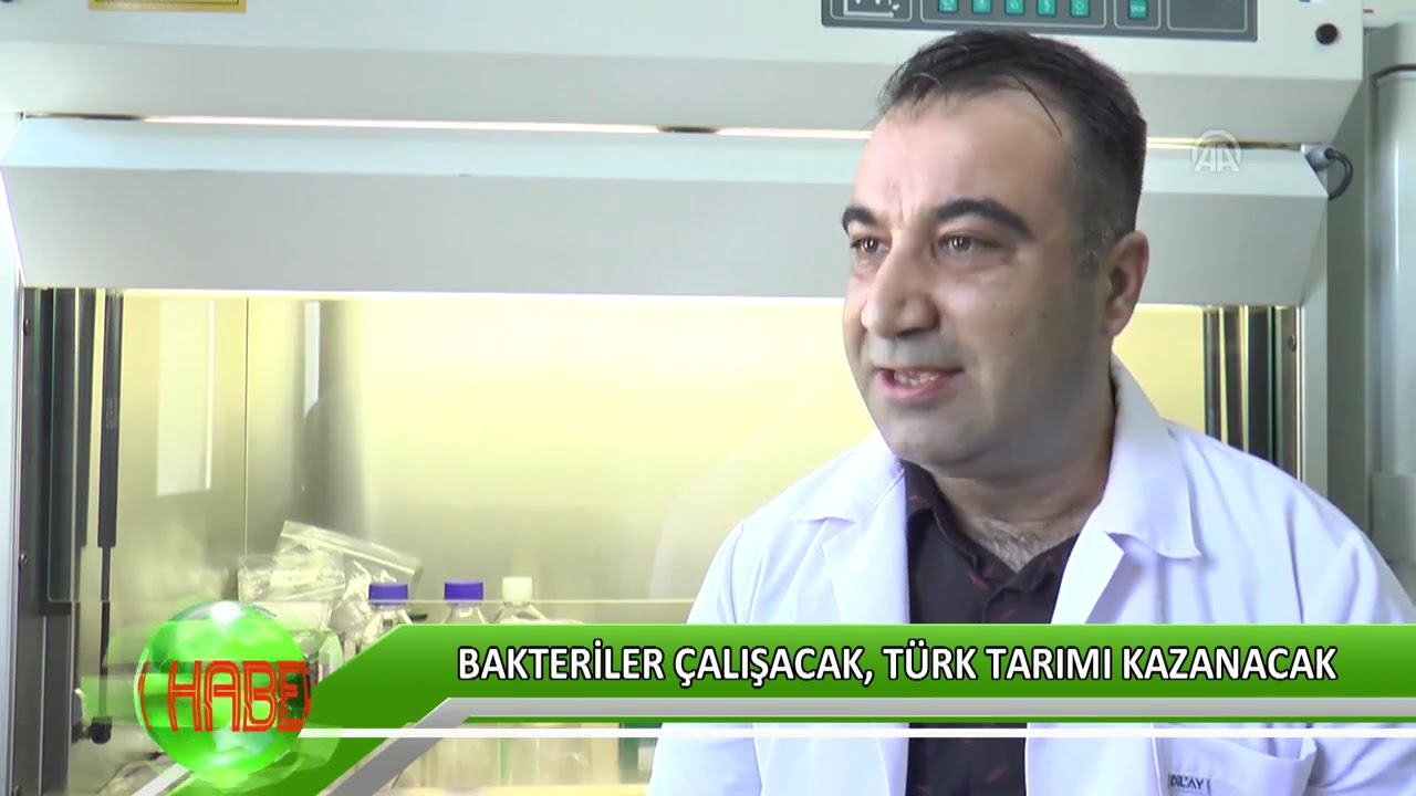 Bakteriler çalışacak, Türk tarımı kazanacak
