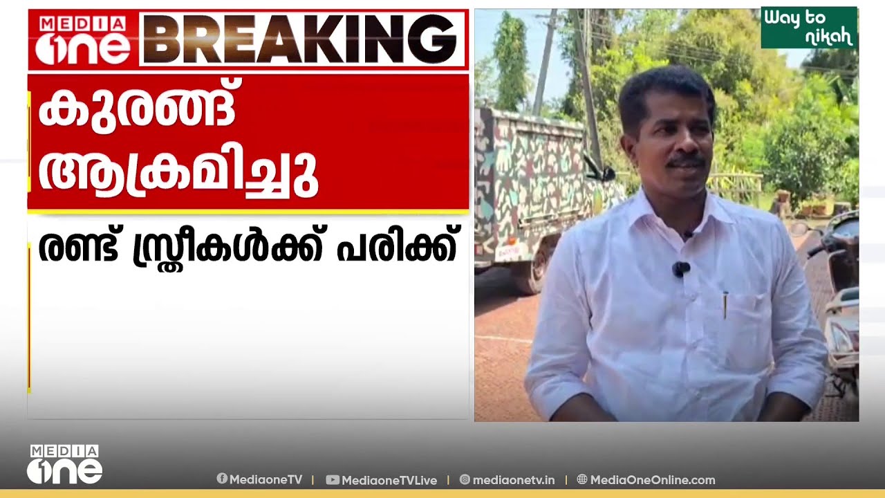 'ചേച്ചിയുടെ നൈറ്റിയൊക്കെ കുരങ്ങ് വലിച്ച് കീറി....'