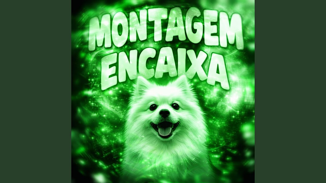 MONTAGEM ENCAIXA (Super Slowed)