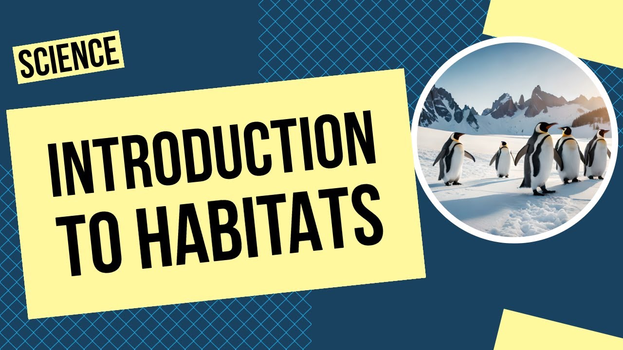 Introduction to Interactions in the Environment