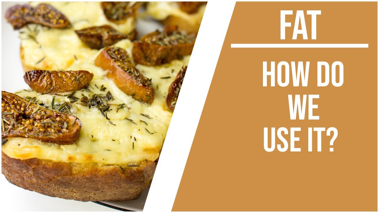 Fat | How you burn it and its importance for athletes