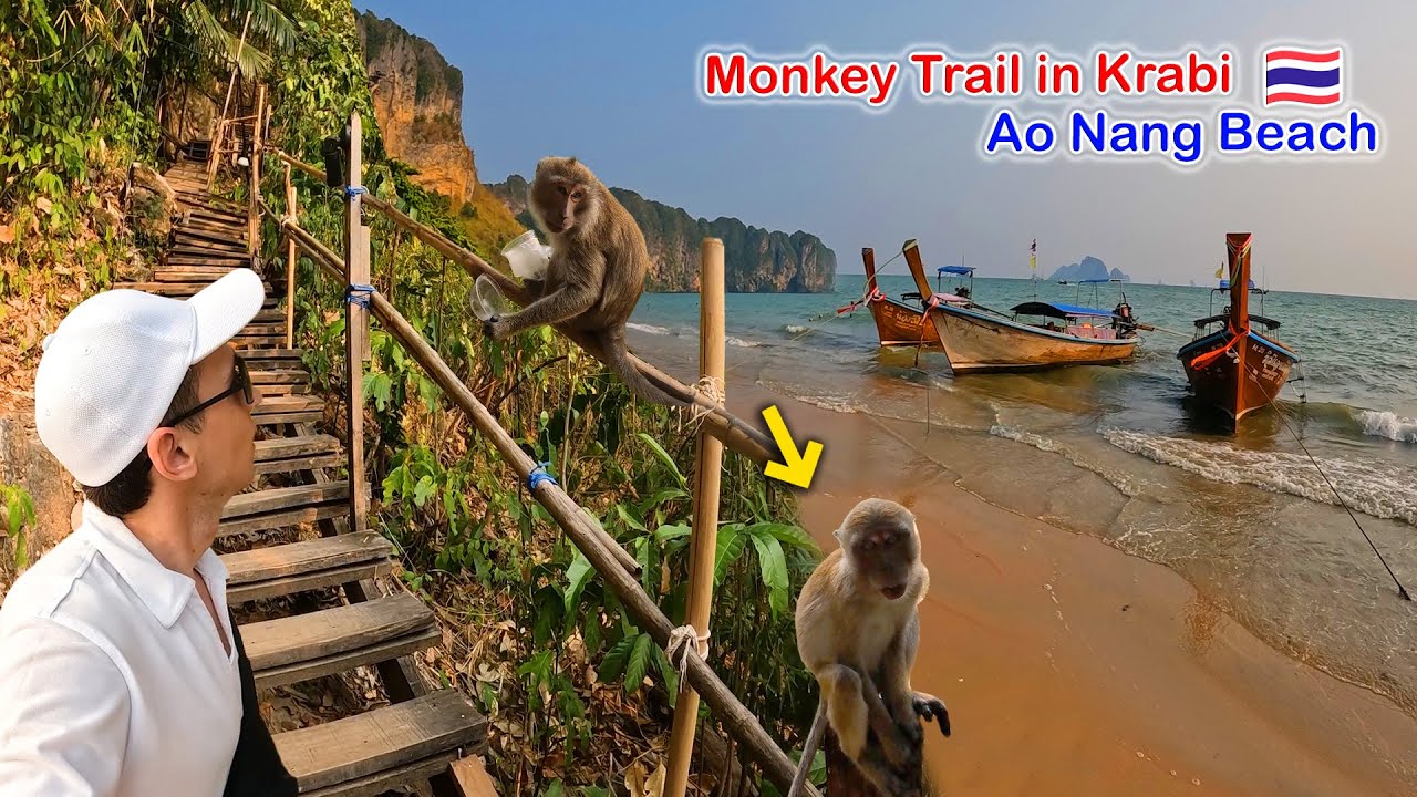Monkey Trail in Ao Nang - Hike to Pai Plong Beach, Krabi