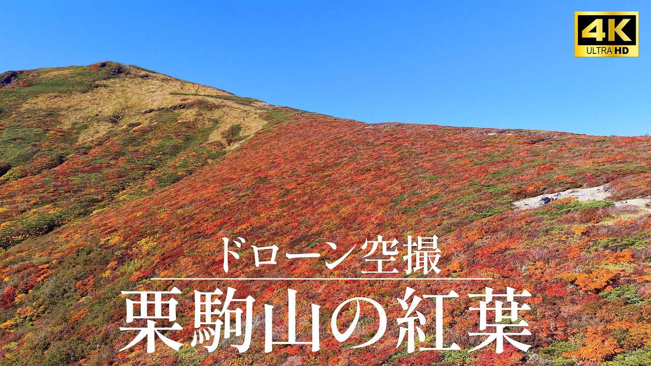【神の絨毯】天空から見下ろす栗駒山の絶景紅葉🍁 ドローン空撮で捉えた息をのむ日本の秋 | Mt. Kurikoma Autumn Drone View
