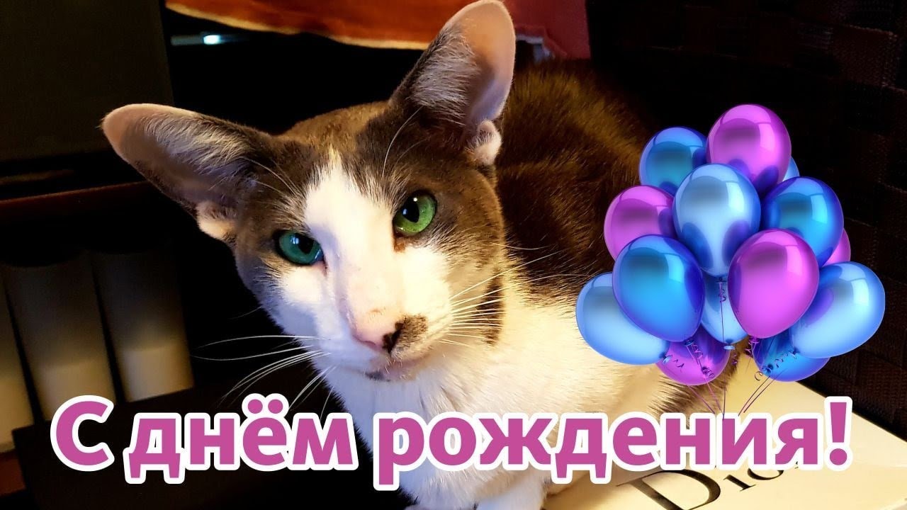 Хэппибёздим Гагарина 💫🎈😸