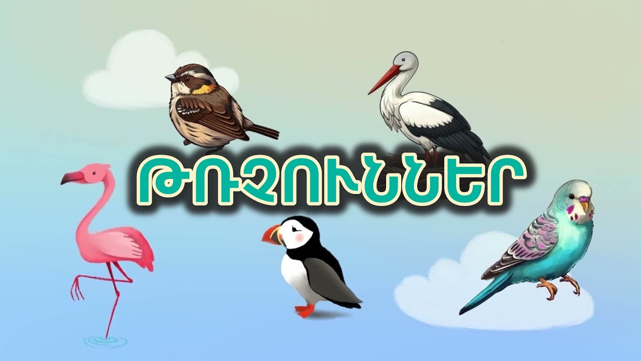 Թռչուններ / trchunner / hayeren multer / Haykakan / птицы на армянском языке