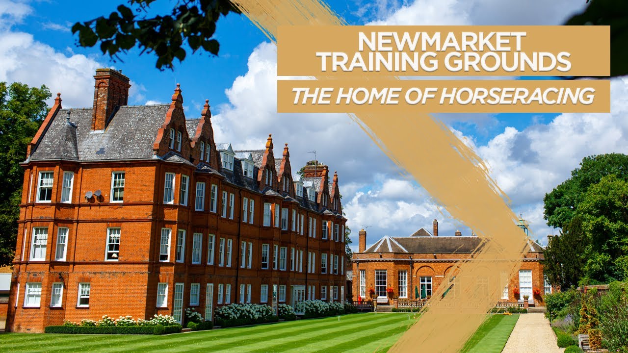 Newmarket Training Grounds: The Home of Horseracing