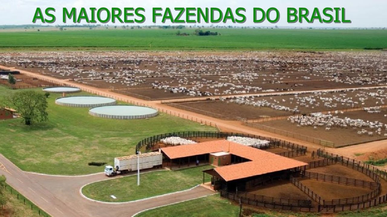 TOP 6 MAIORES FAZENDAS DO BRASIL
