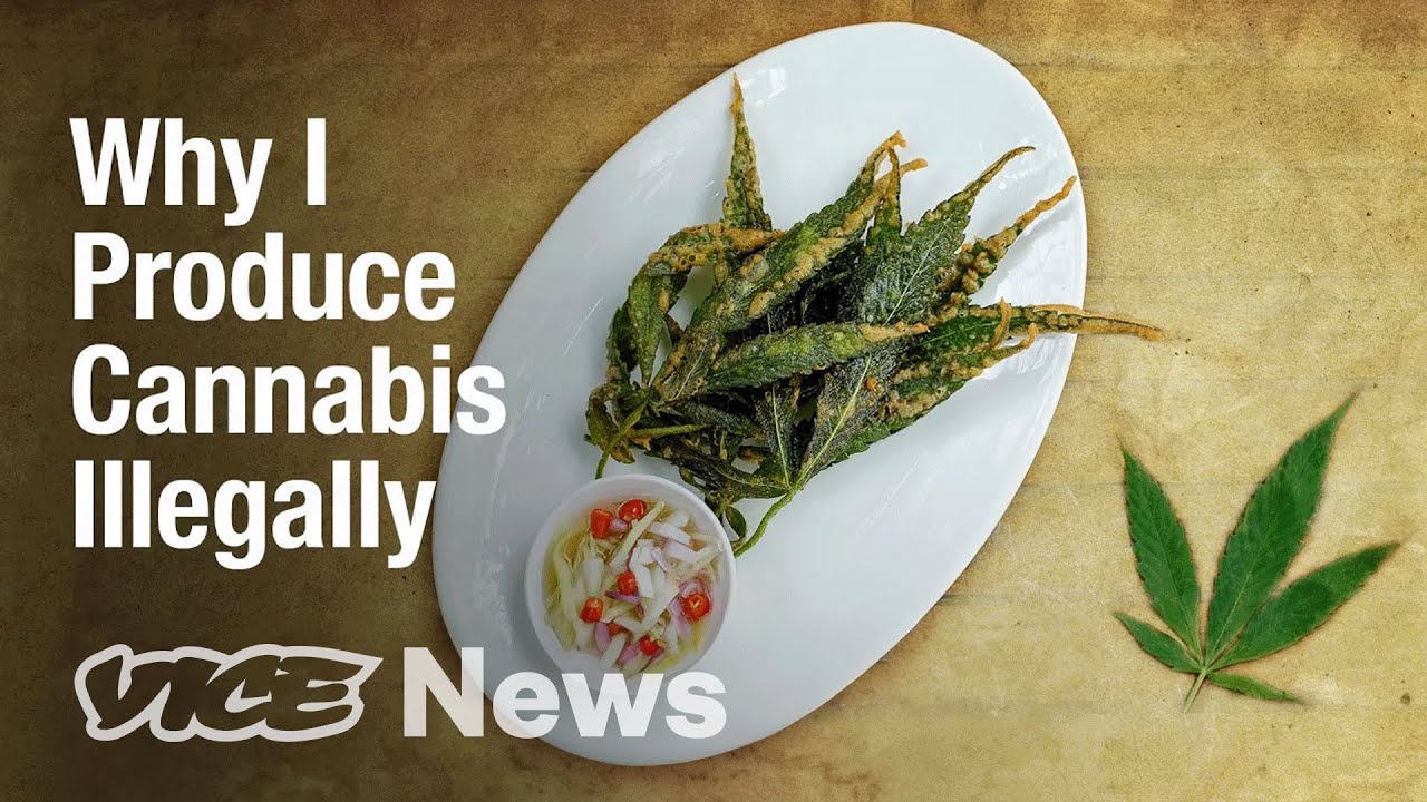 The Issues with Thailand&rsquo;s Legal Cannabis