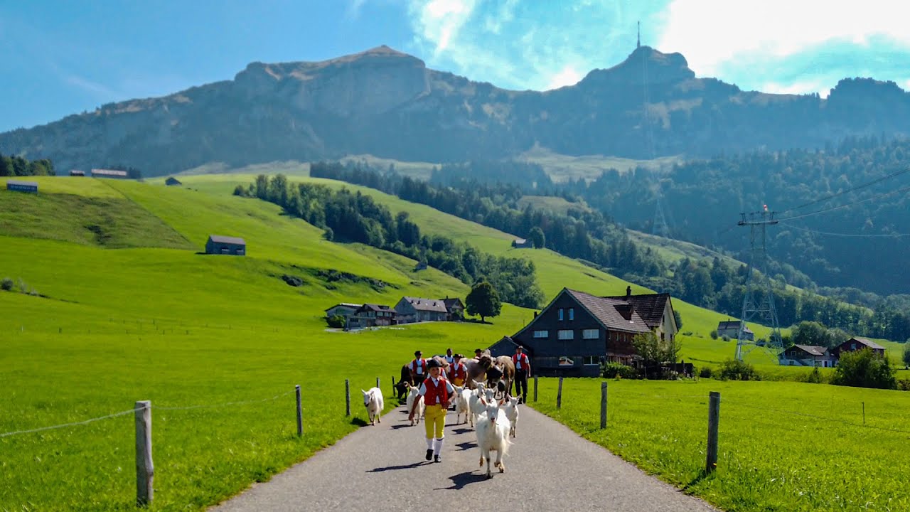 Öberefahre Appenzell | Scenic Alpine Descent with Views of the Alpstein & Appenzellerland