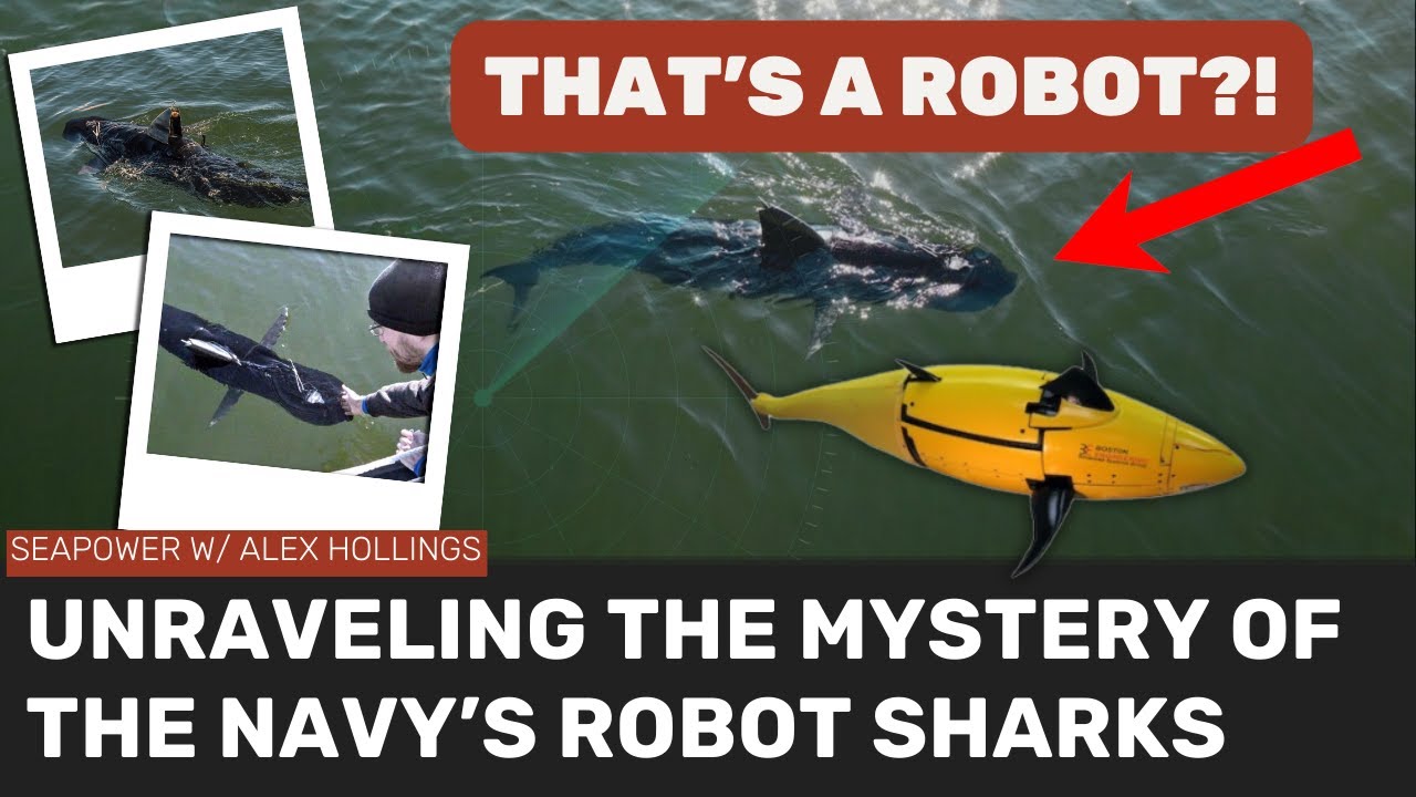 Does the US Navy have ROBOT SHARKS prowling the ocean?