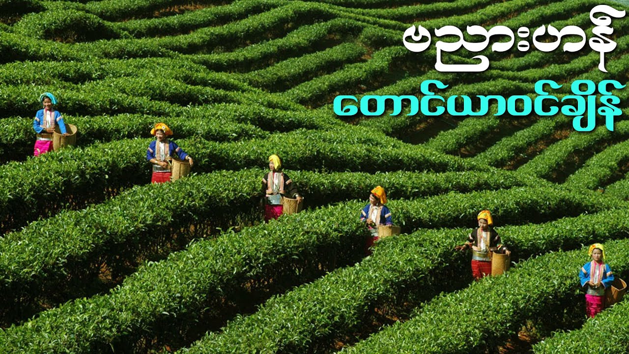 တောင်ယာဝင်ချိန် - ဗညားဟန် ( Ba Nyar Han ) | Lyrics