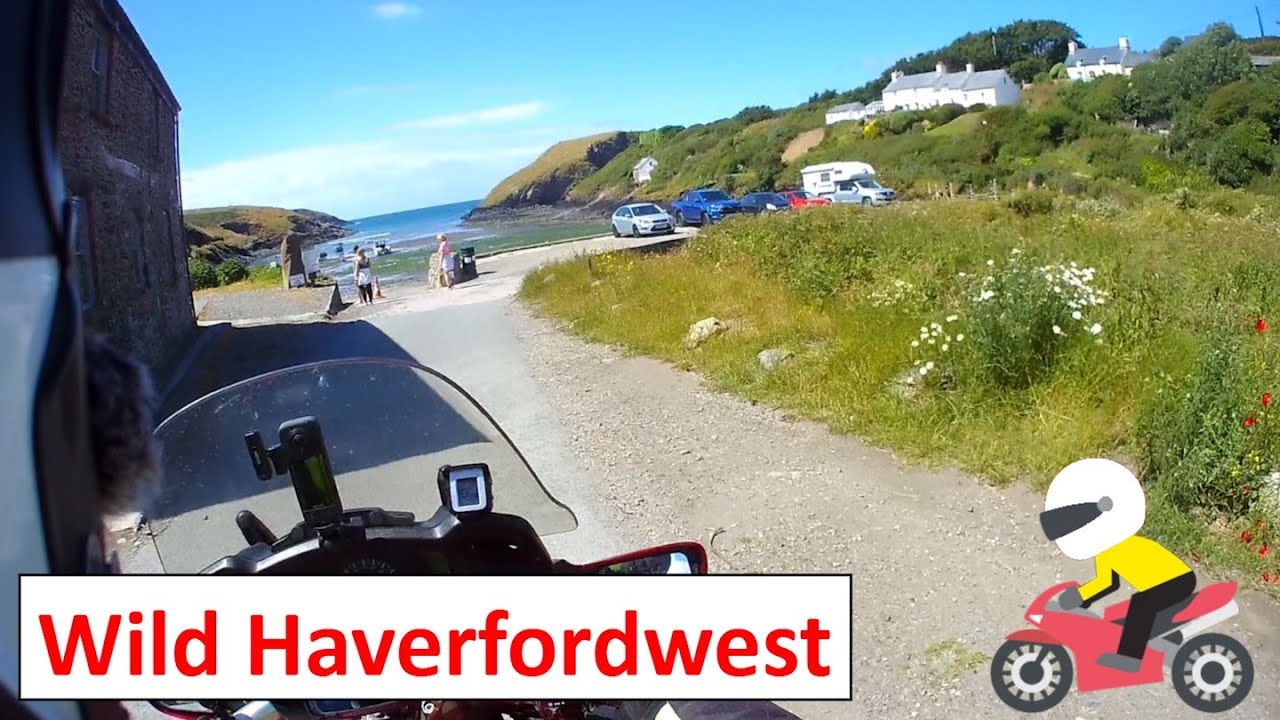 Wild Haverfordwest
