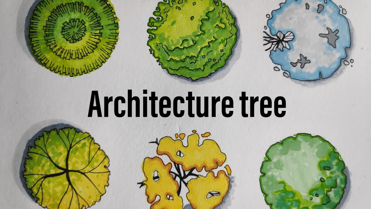 Architecture Tree plan sketching tips