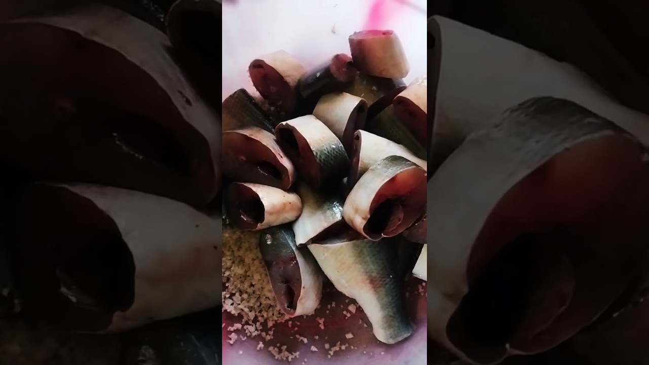 goan kitchen diary fishes. #goan #goa #trending #viral #village #youtubeshorts #fishing #goancuisine