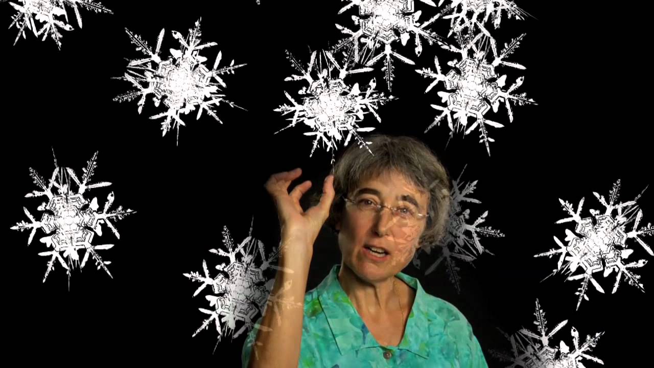 Susan Barry: Learning To See In 3-D