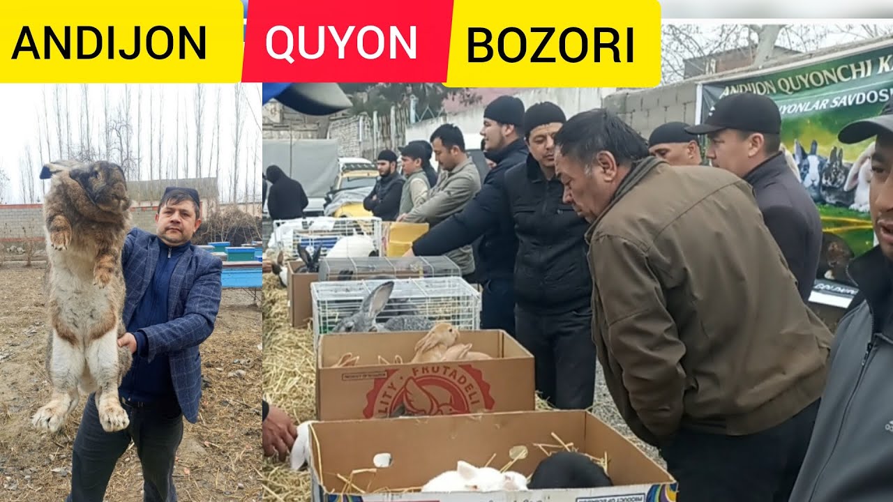 QUYON BOZORI ANDIJON SOY