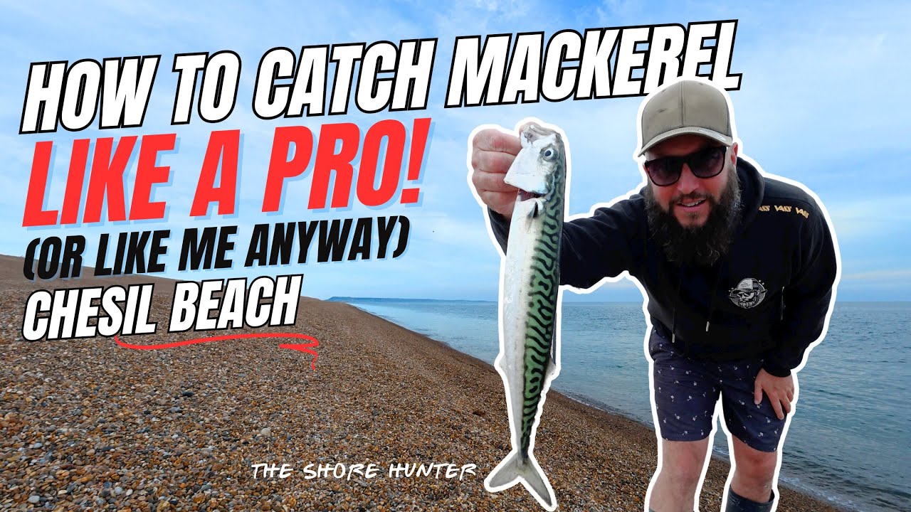How to Catch Mackerel on Chesil Beach | The Best Tips & Techniques For Fishing For Mackerel 🎣