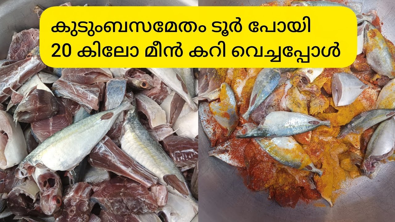 കുടുംബ സമേതം ടൂറിന് പോയി 20 കിലോ മീൻ കറിവച്ചപ്പോൾ 