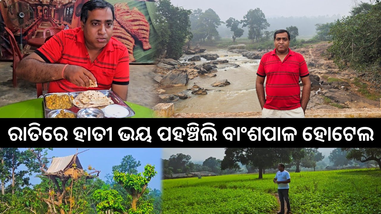 ରାତିରେ ହାତୀ ଭୟ ଏକୁଟିଆ ପହଞ୍ଚିଲି ବାଂଶପାଳ ହୋଟେଲ l ଟସର ଚାଷ l Banspal, Kendujhar EP 3