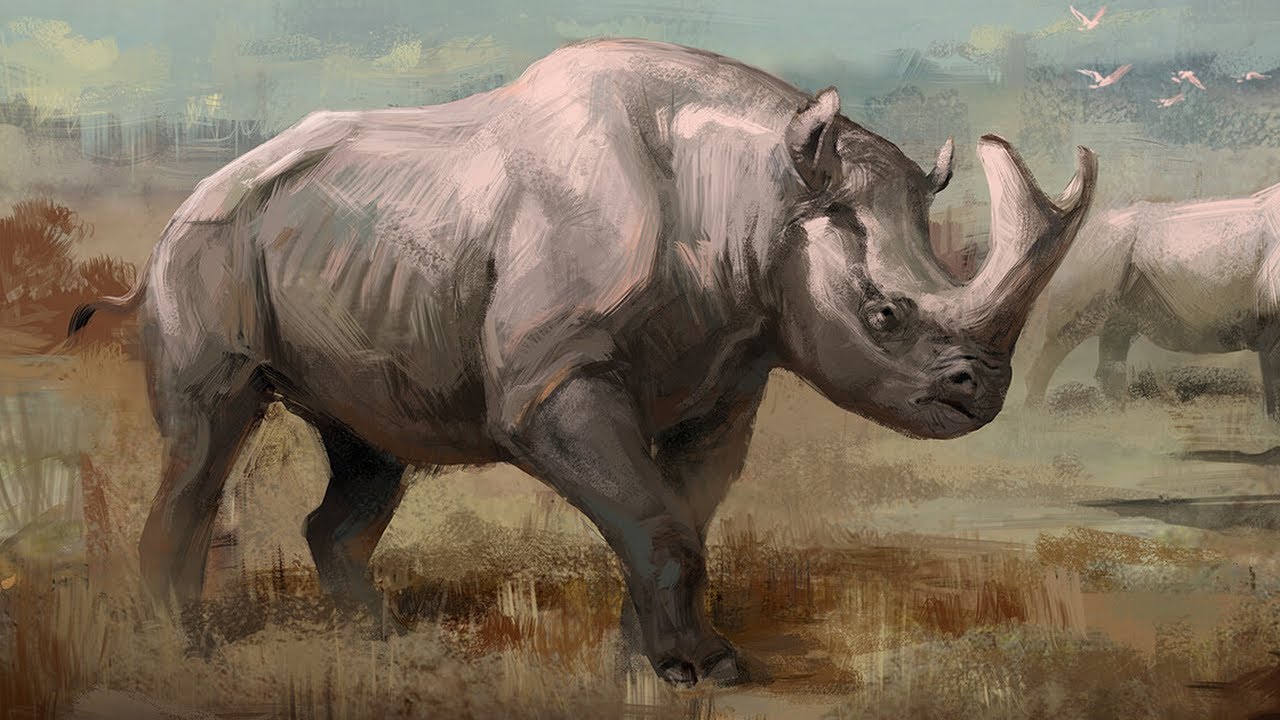 Brontotheriidae — Громовые звери