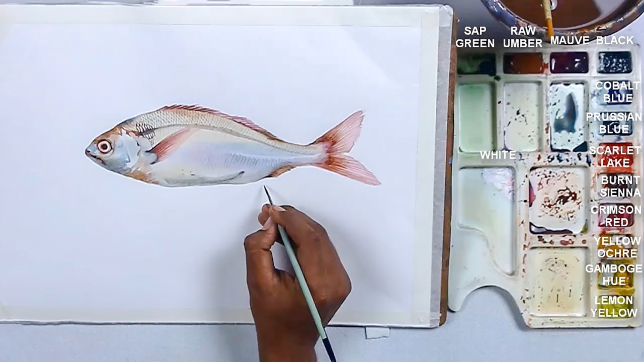 Watercolor Fish Painting | How to Paint Fish Scales | step by step